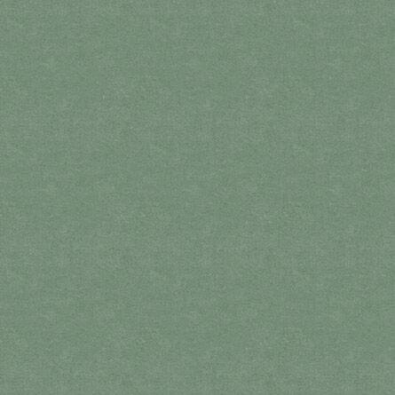 Calvari Moss