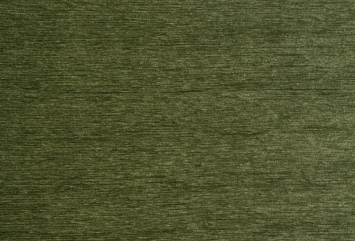York Forest