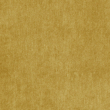 Astille Mustard