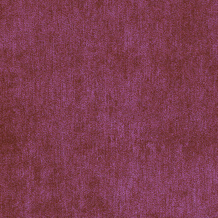 Astille Raspberry