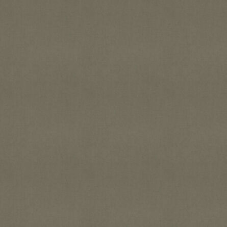 Evron Taupe