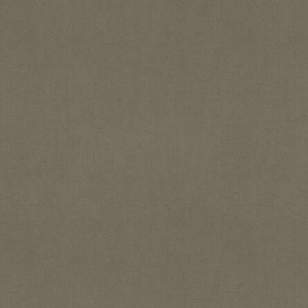 Evron Taupe
