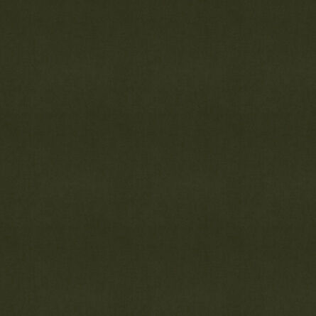 Evron Olive