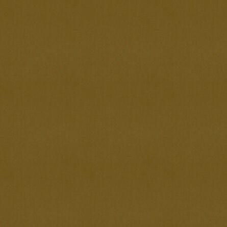 Evron Mustard