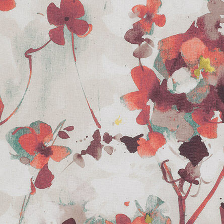 Elsberry Fiery Red