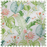 Pangea Tropical