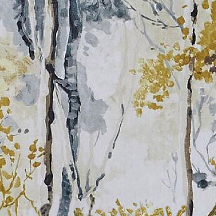 Silver Birch Shadow