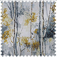 Silver Birch Shadow