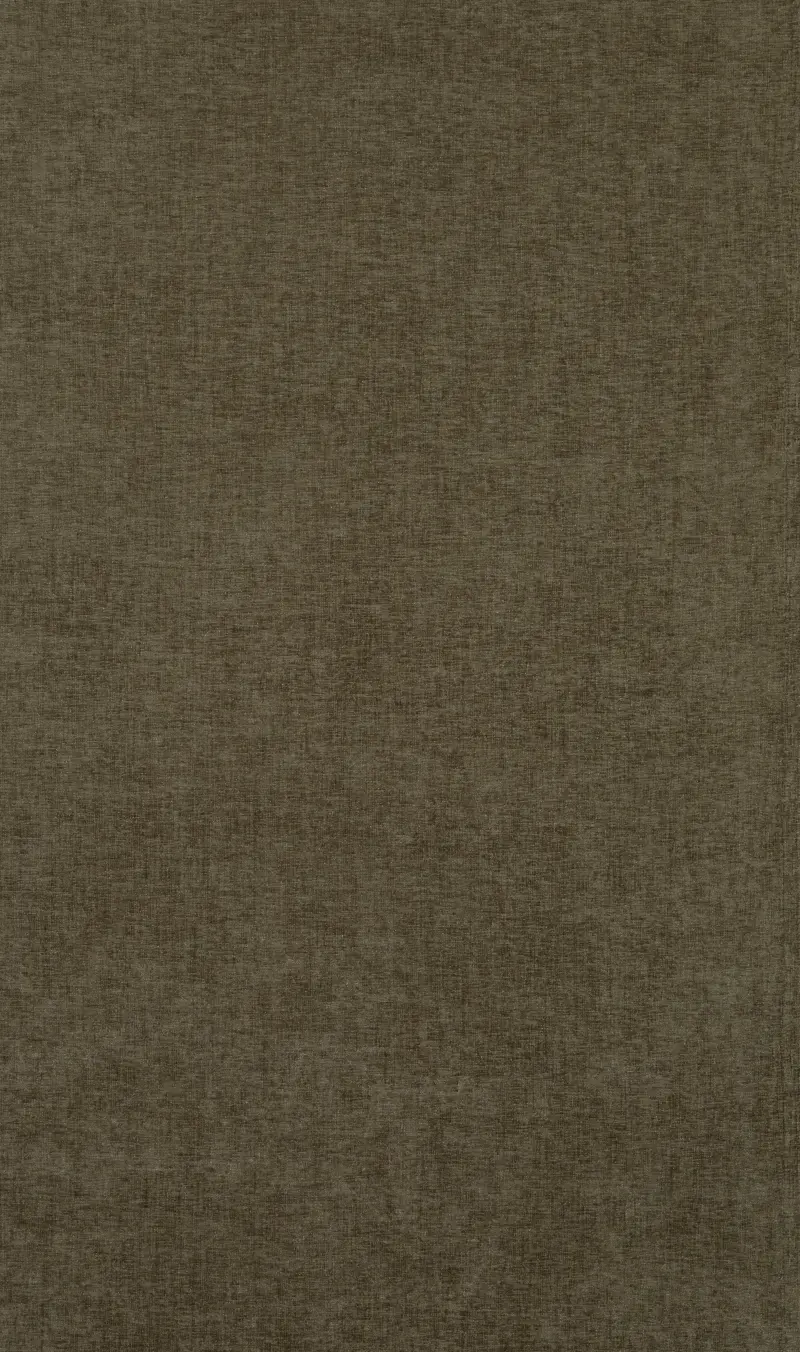 Cairo Olive