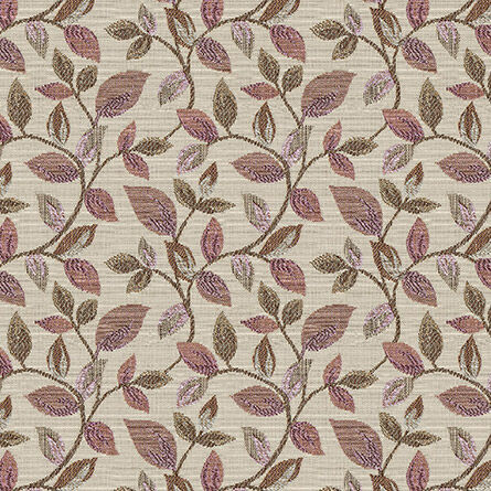 Vercelli Blush