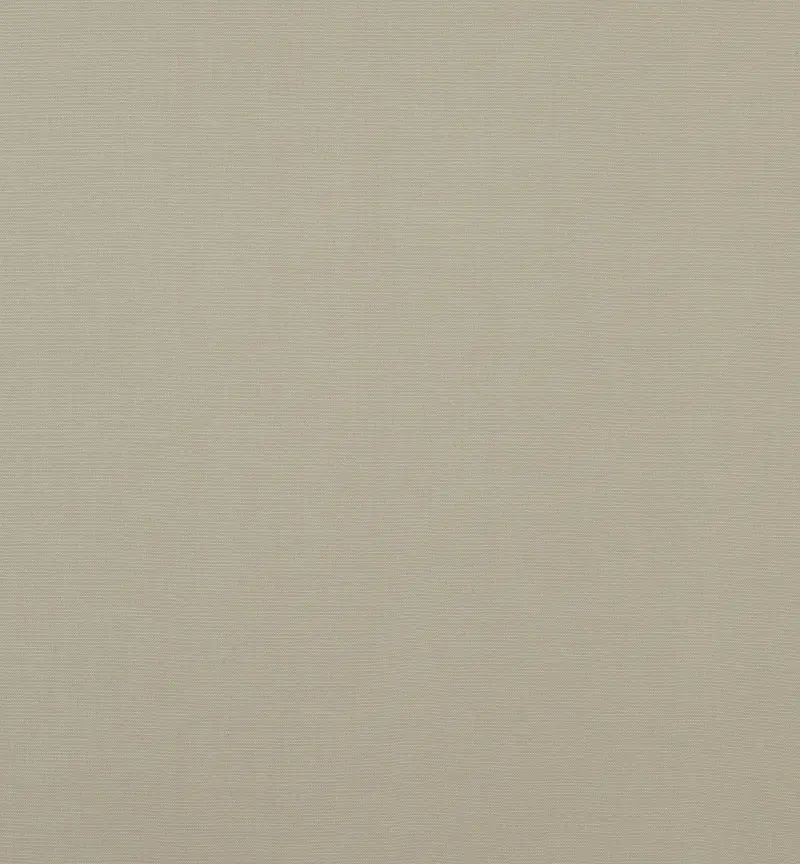 Carrera Putty